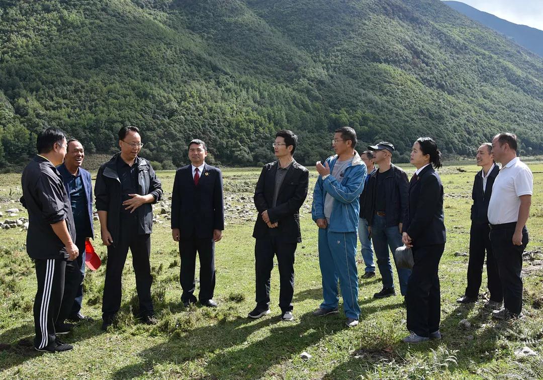 10.15大理州检察机关开展保护苍山高山草甸生物多样性公益诉讼“回头看”.jpg